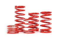 H&R 2.50” I.D. Race Springs