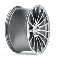 INOVIT l FORCE 5 SILVER