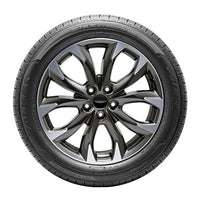 FALKEN l ZIEX CT60