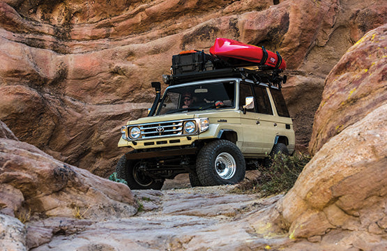 FALKEN l WILD PEAK AT3W