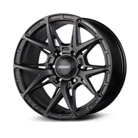 RAYS I VERSUS VV21SX
