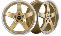 CSA l BERETTA GOLD