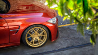 SF10 19″ 20″ Semi Forged