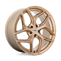 NICHE l TORSION